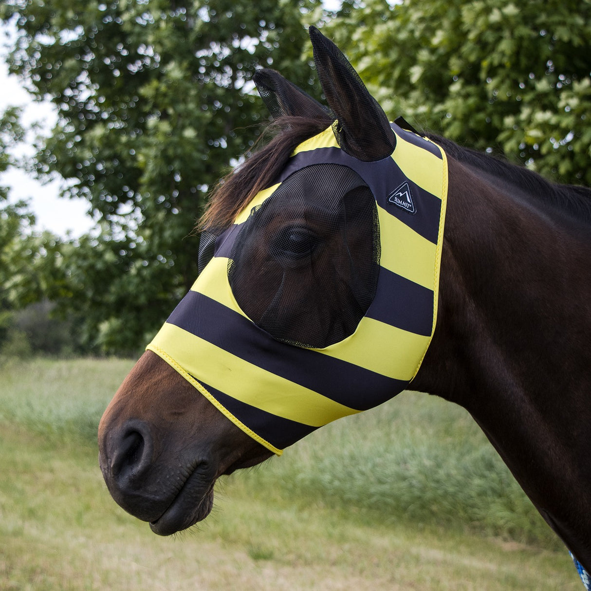 Summit Fly Mask W/ Forelock Hole