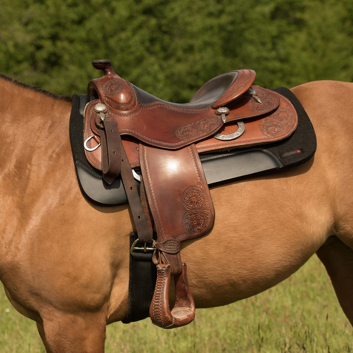 Tapis de selle en feutre occidental de thérapie thermique