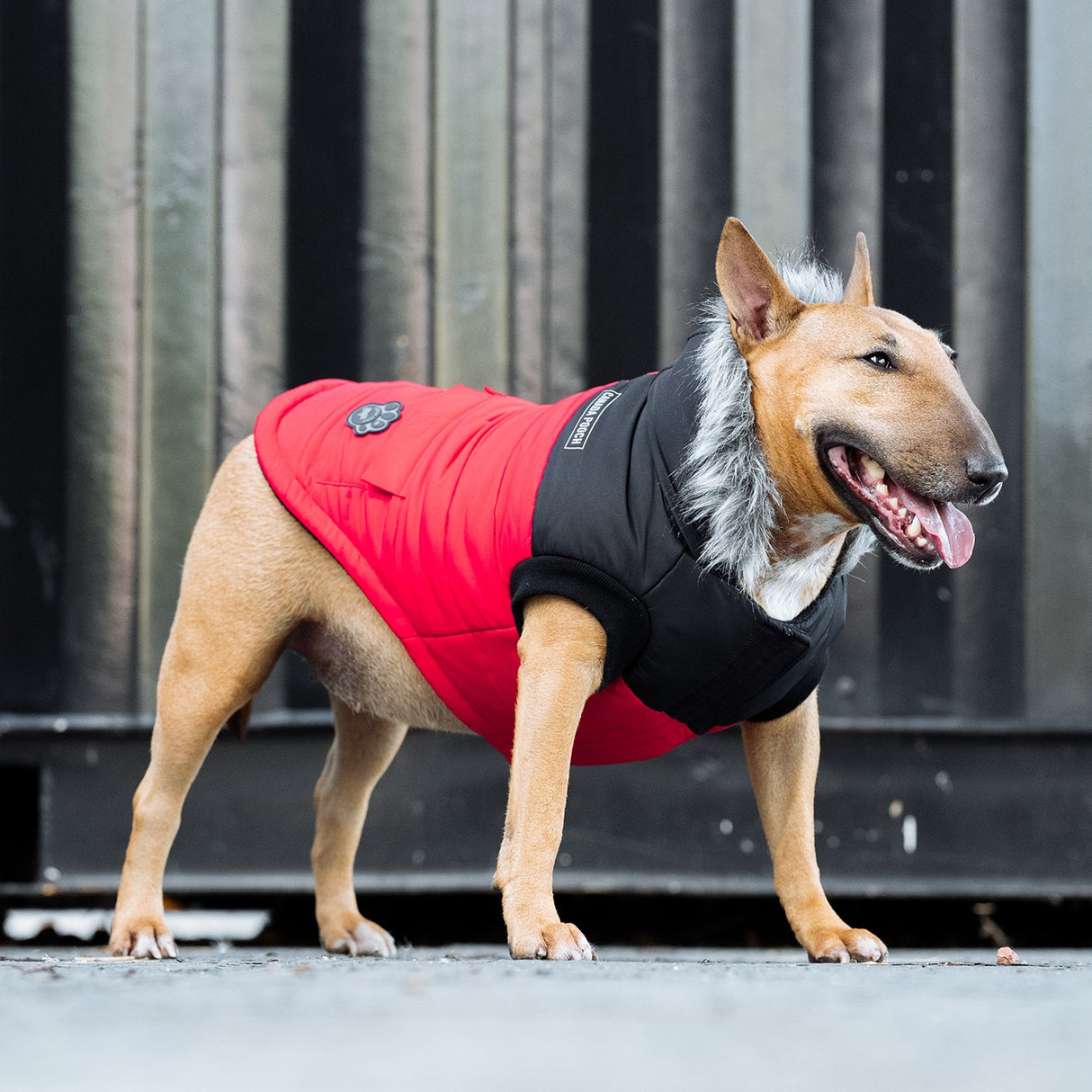 Parka pour chien True North de Canada Pooch