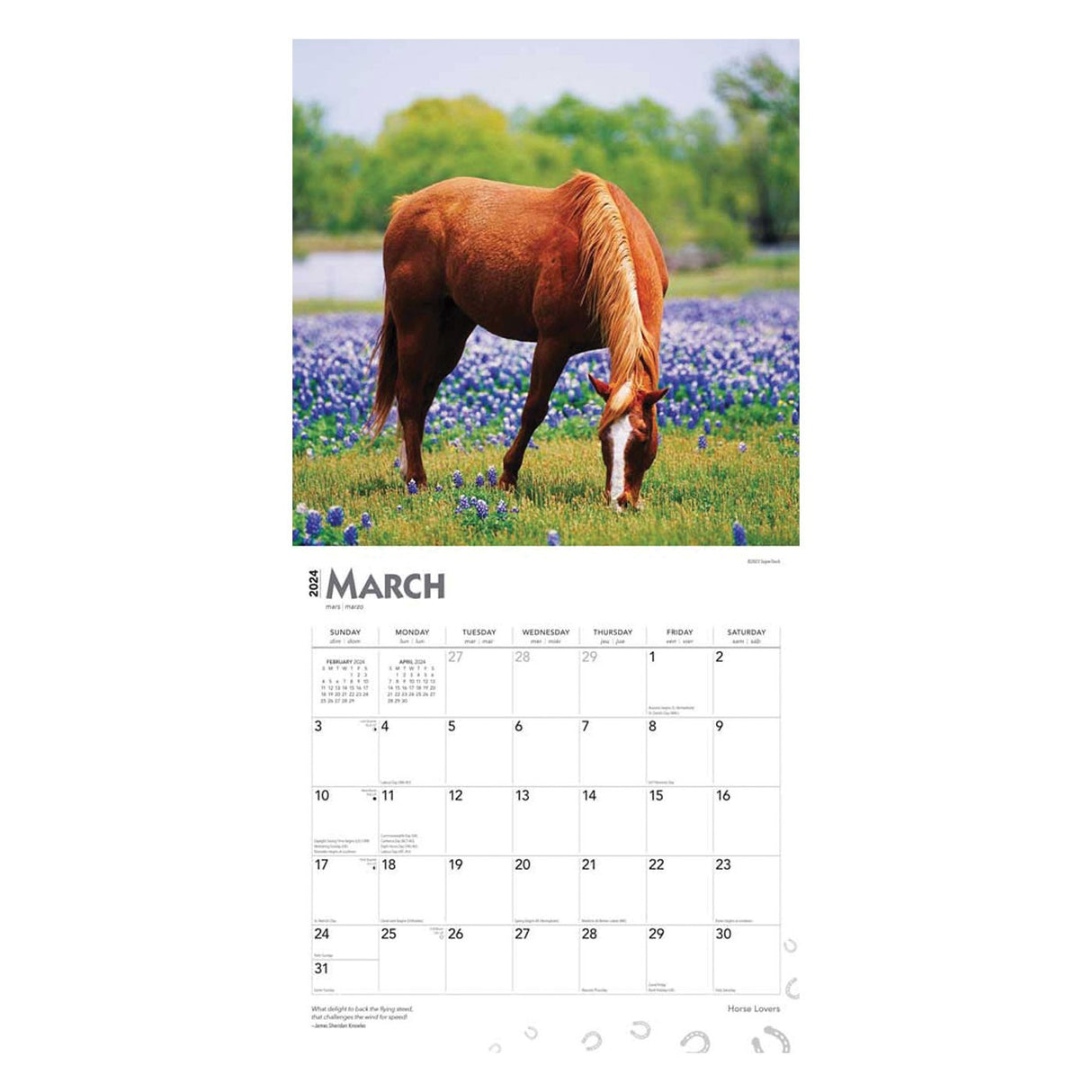Calendrier carré 2024 des amoureux des chevaux BrownTrout