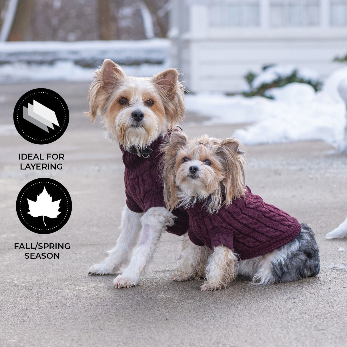 Shedrow K9 Brentwood Cable Knit Dog Sweater