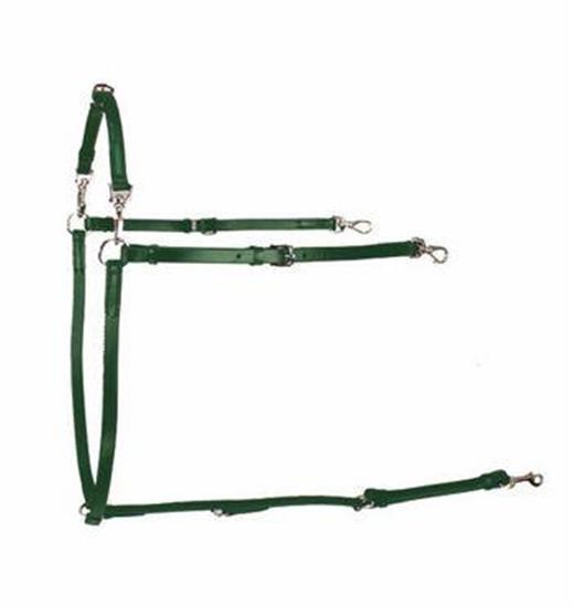 Collier de poitrine Gaitmaster Buxton