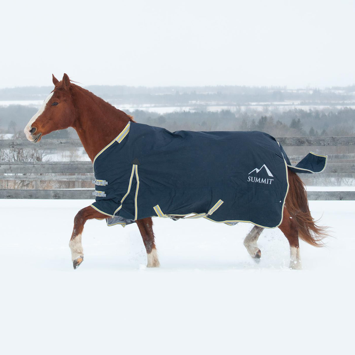 Summit Atlas Turnout 150 g