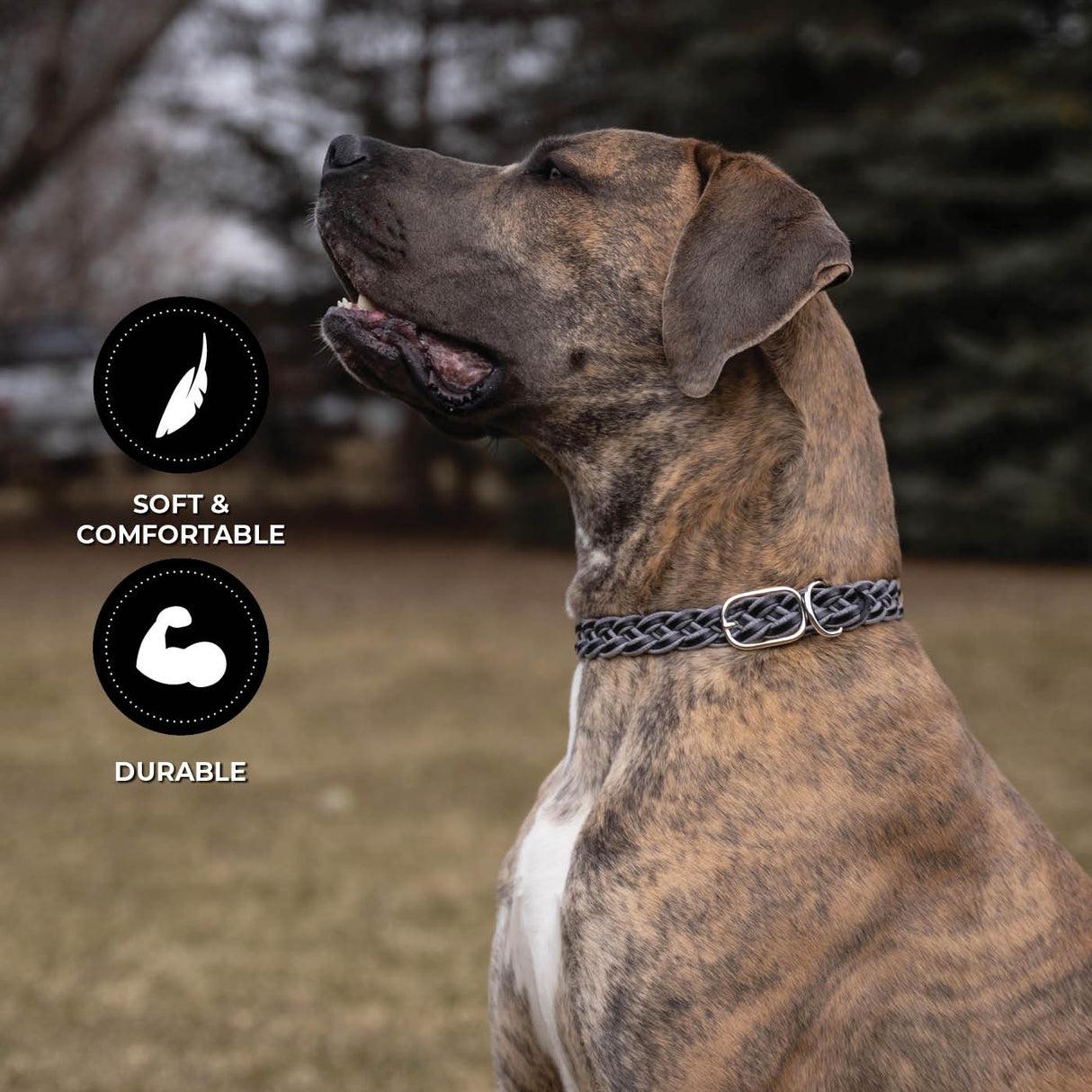 Shedrow K9 Rideau Corde tressée et collier en cuir