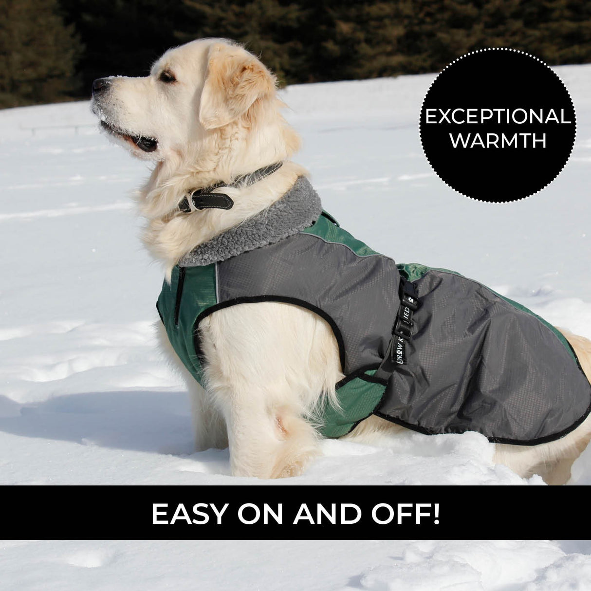 Shedrow K9 Chinook Dog Coat