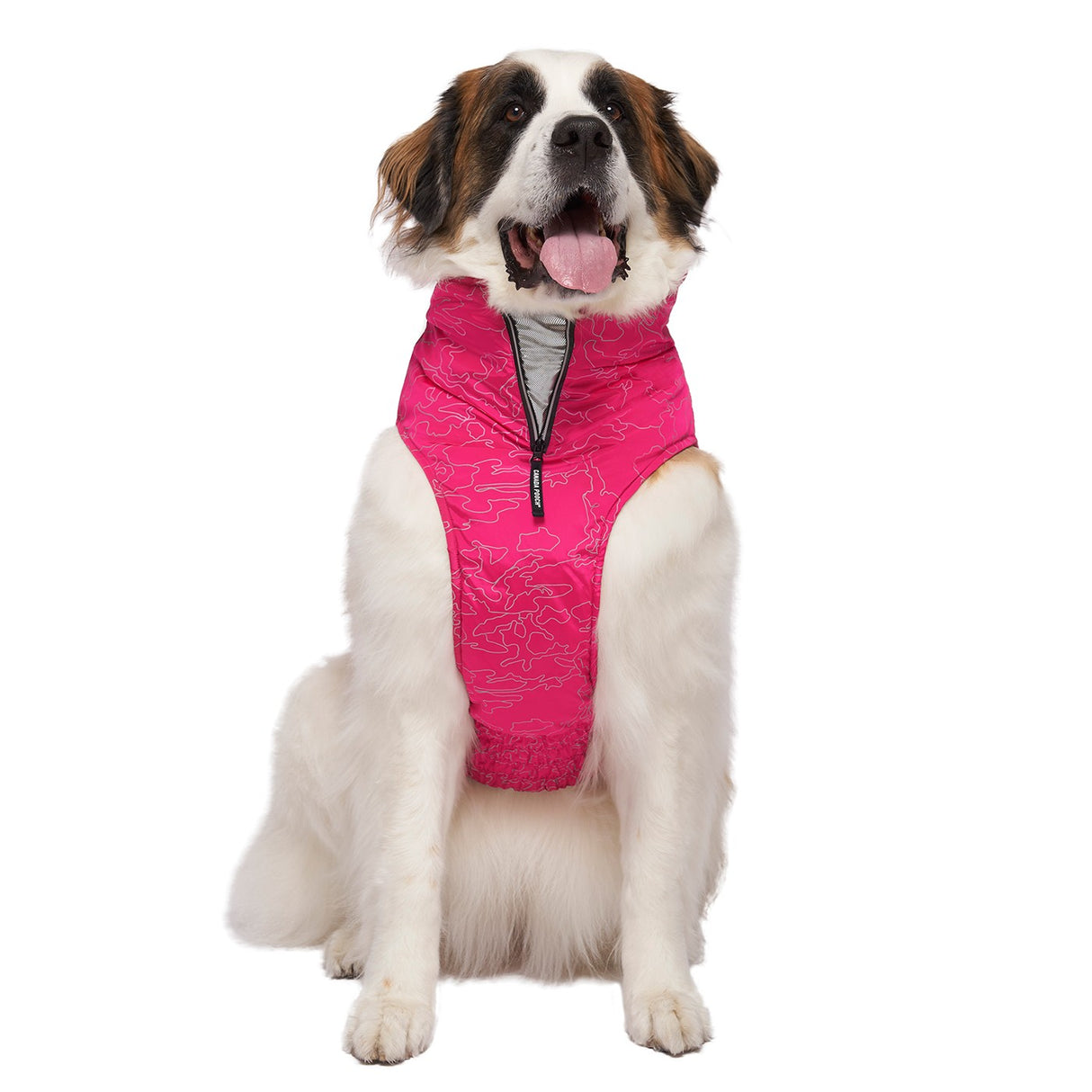 Canada Pooch The Expedition Dog Coat 2.0