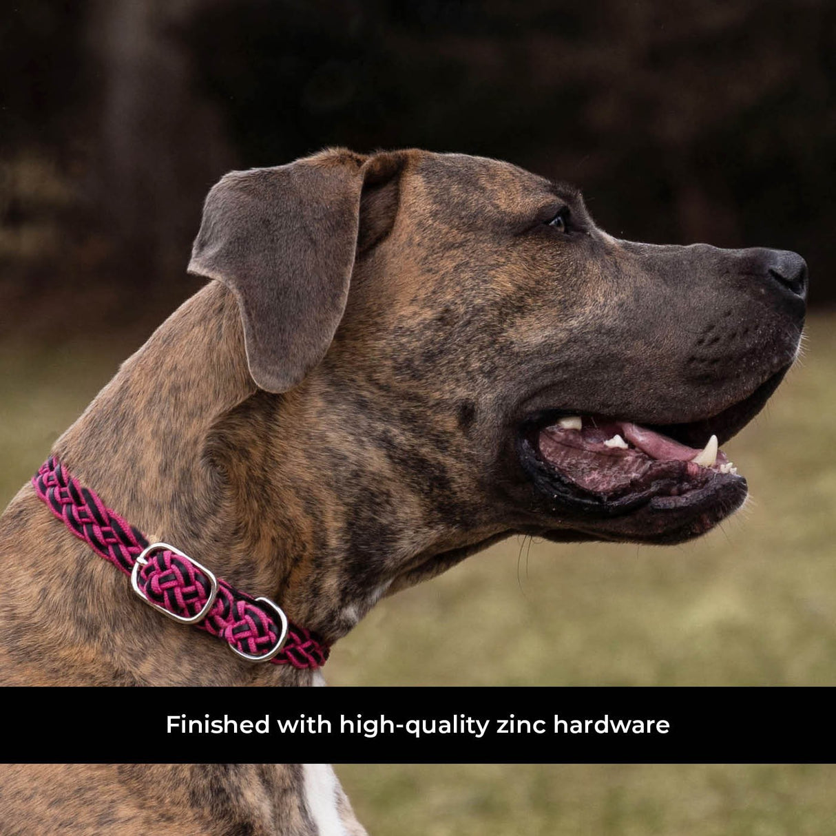 Shedrow K9 Rideau Braided Rope & Leather Collar