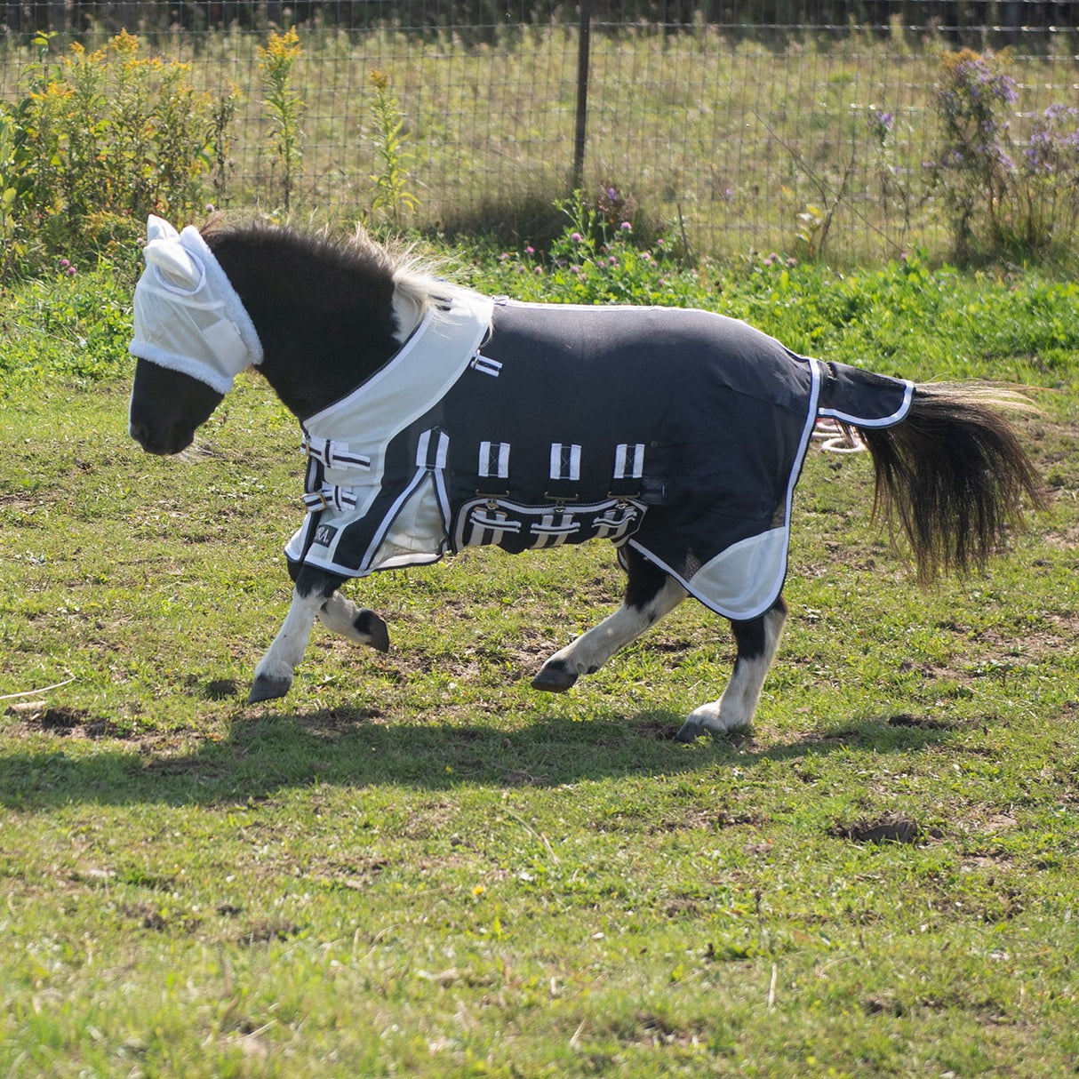 Supra Miniature Fly Sheet W- Belly Band & Fly Mask