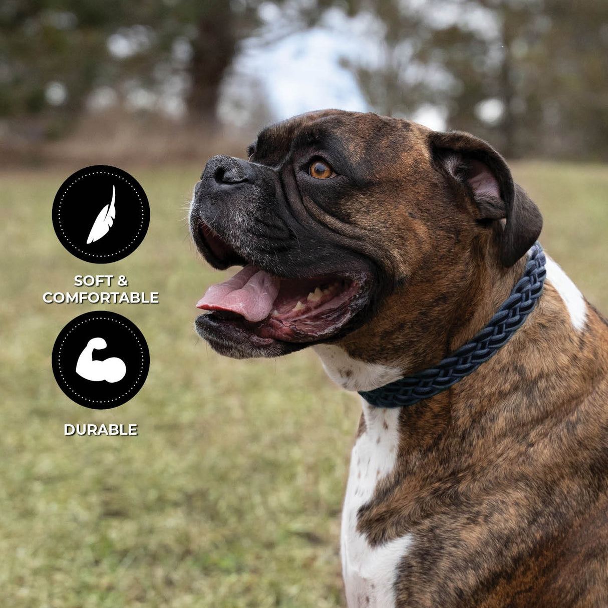 Shedrow K9 Rideau Corde tressée et collier en cuir