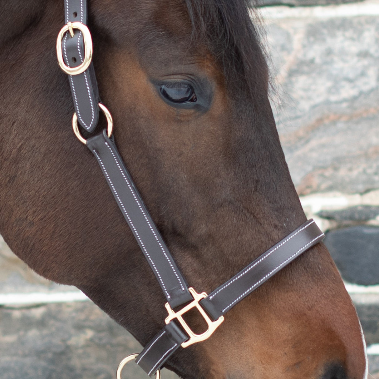 Val du Bois Convertible Leather Grooming Halter