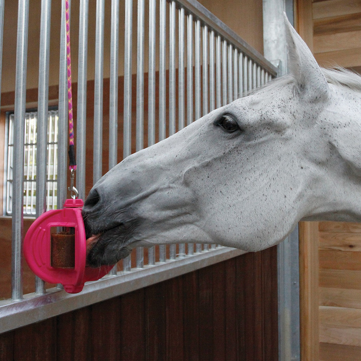 Bizzy Horse Bizzy Lick Apple 1 Kg Horse Treat