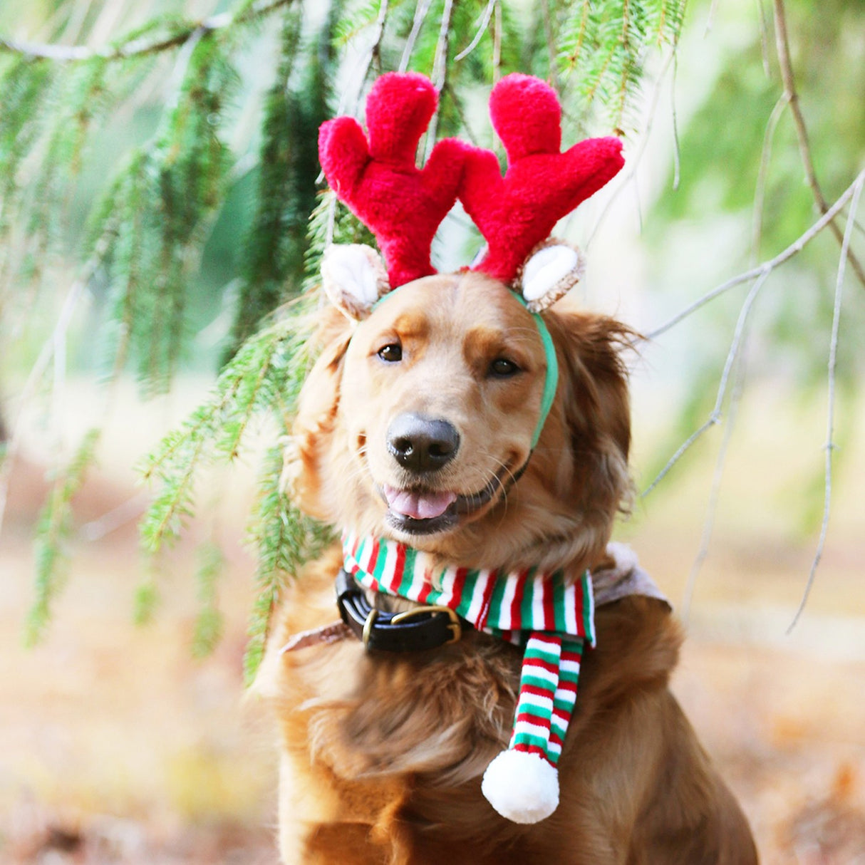 ZippyPaws Holiday Antlers