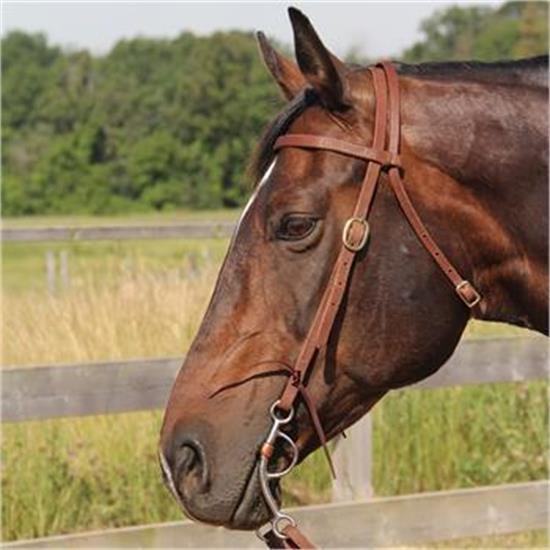 Copper Canyon Harness Leather Browband Headstall W- Ties