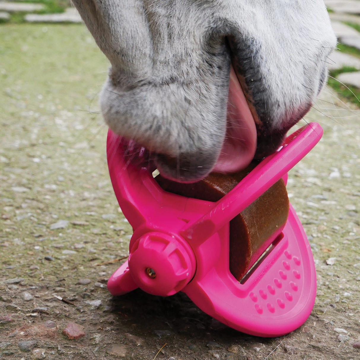 Bizzy Horse Bizzy Ball Horse Toy