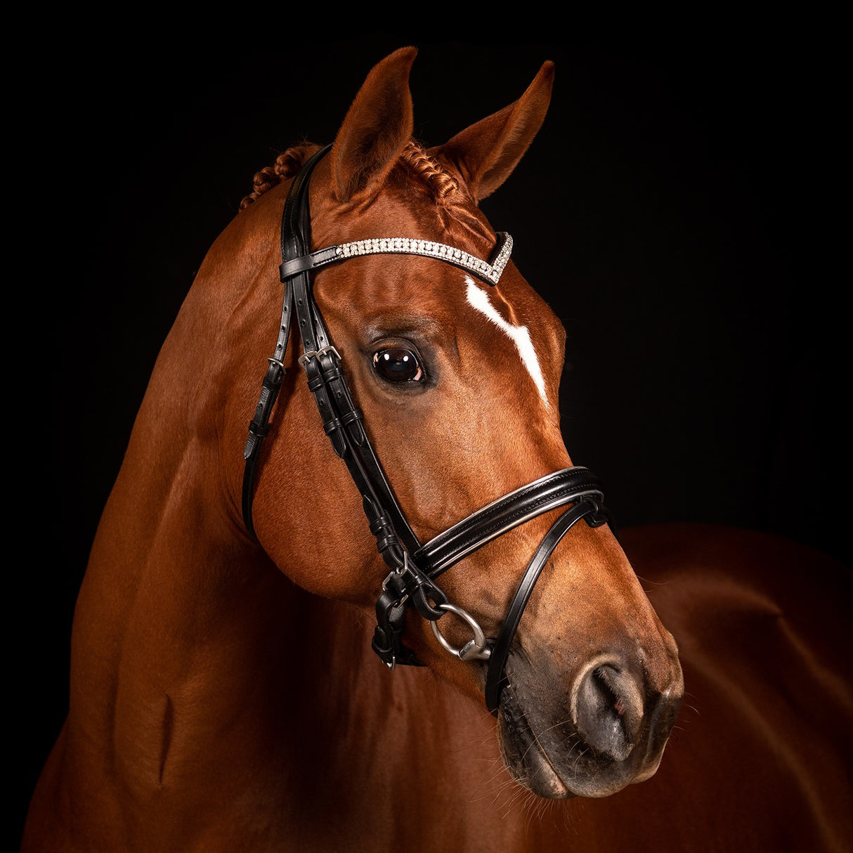 Bridon de dressage FFE Crystal V avec passepoil argenté