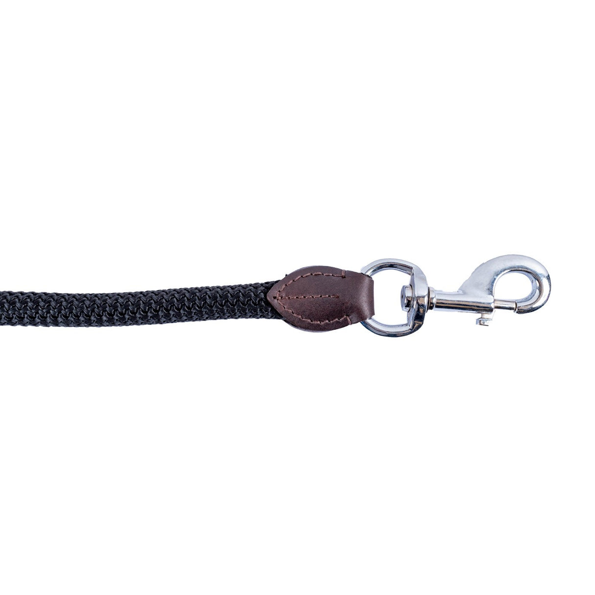 Laisse Shedrow en nylon et cuir