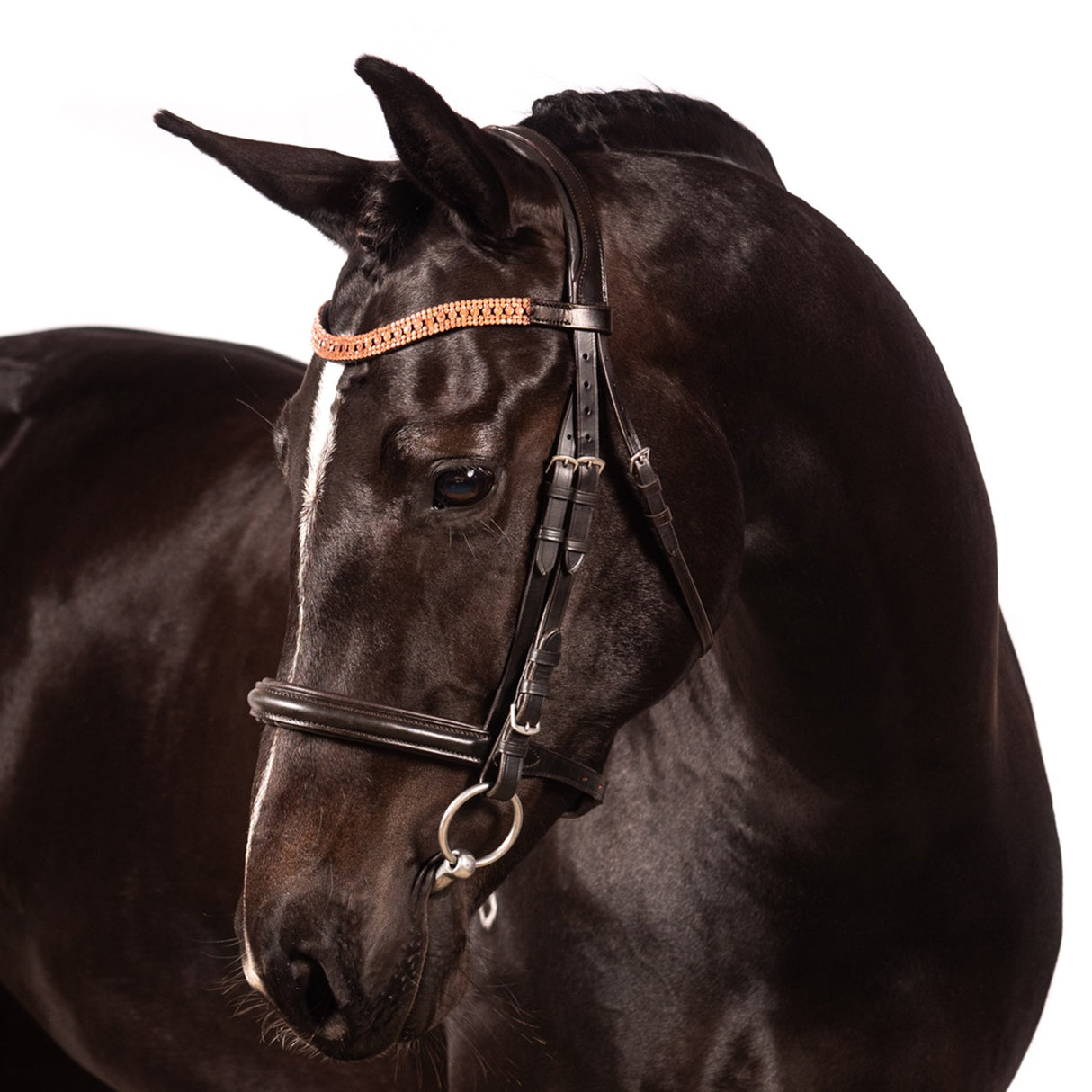 Bride de dressage FFE Princess Wave en or rose