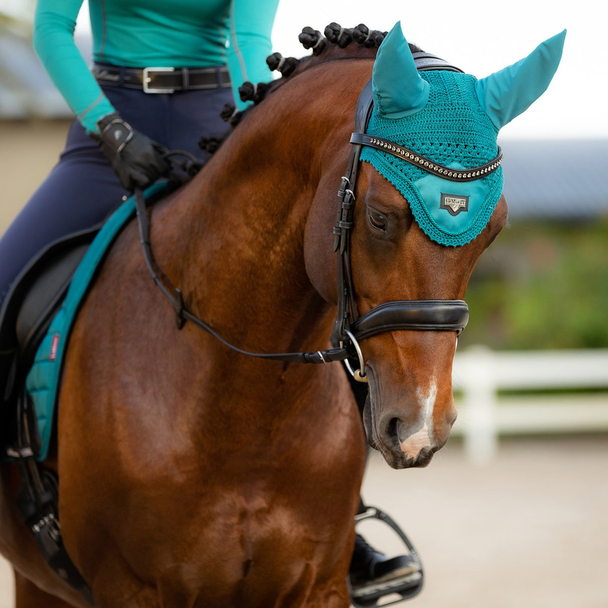 LeMieux Loire Fly Hood