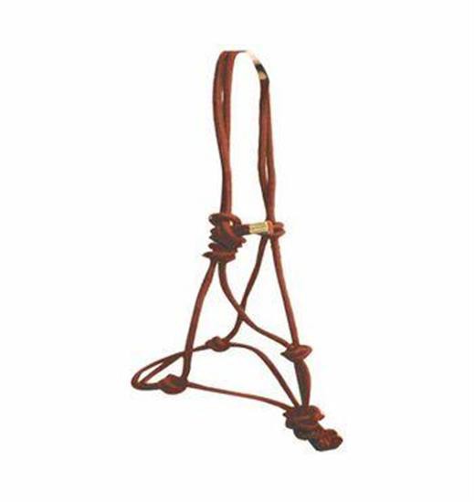 Copper Canyon Rope Halter W- Lead