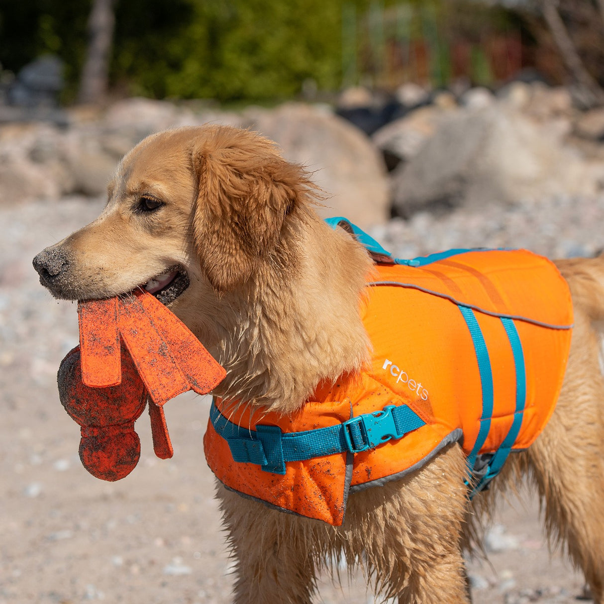 RC Pet Tidal Life Vest