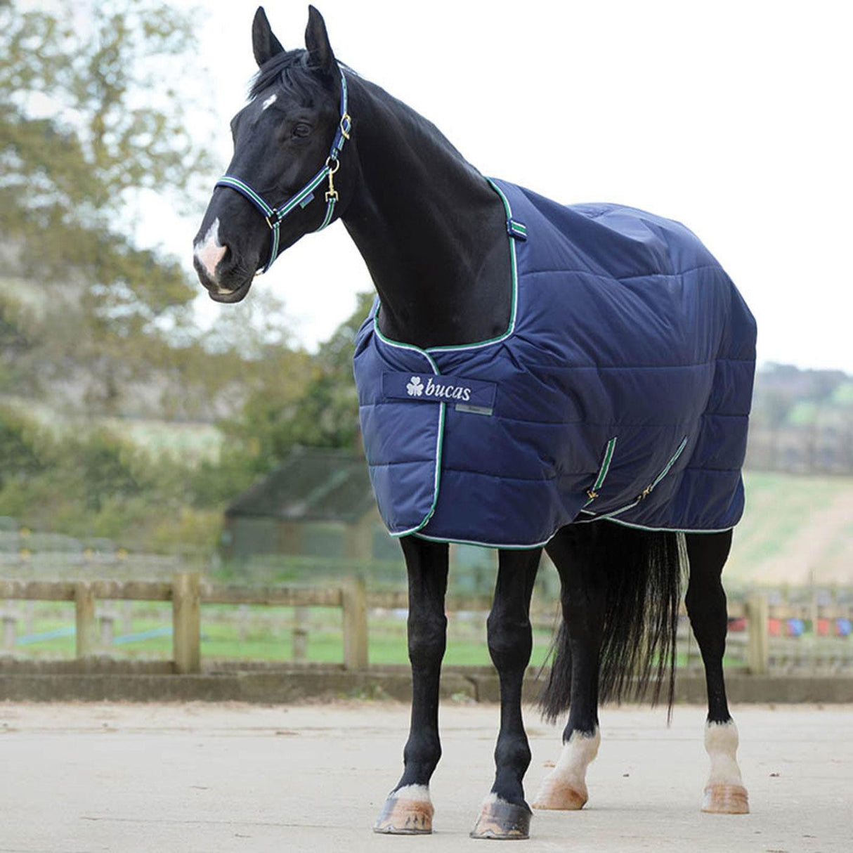 Bucas Quilt Stay-Dry 150 g