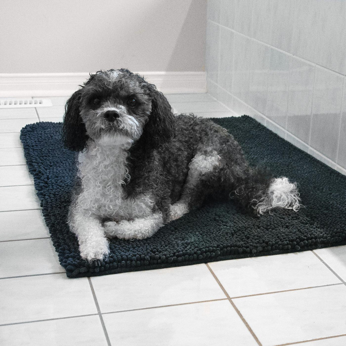 Shedrow K9 Mud Mat