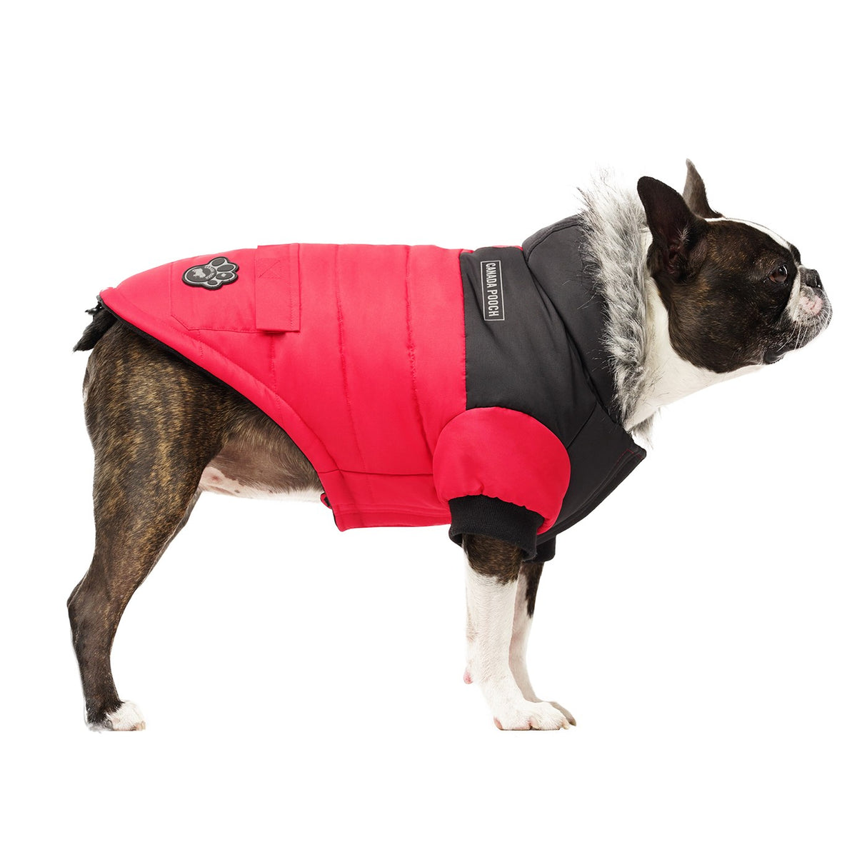 Parka pour chien True North de Canada Pooch