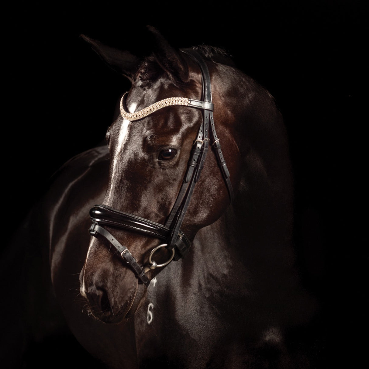 Bridon de dressage breveté FFE Couture