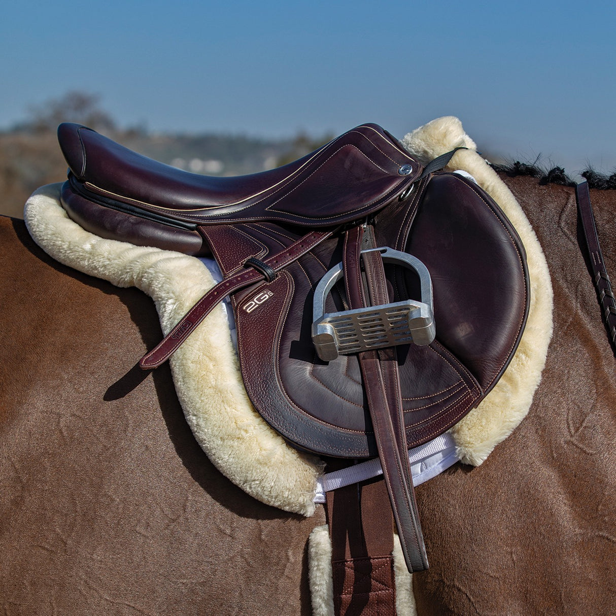 Professional's Choice Hunter Show Pad avec doublure VenTECH