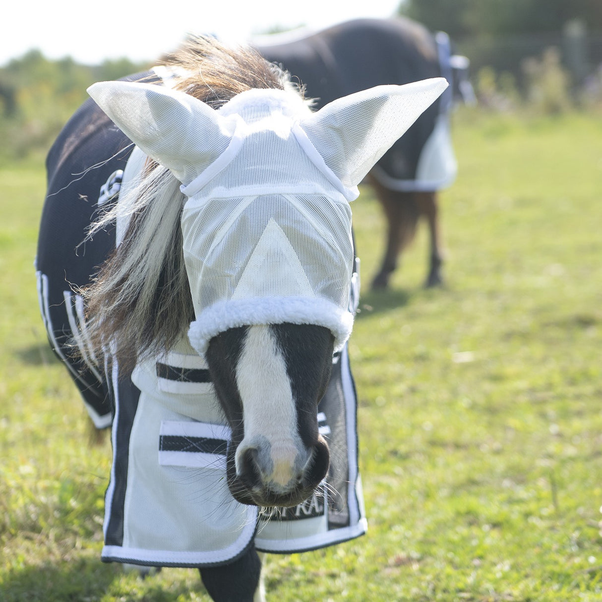Supra Miniature Fly Sheet W- Belly Band & Fly Mask