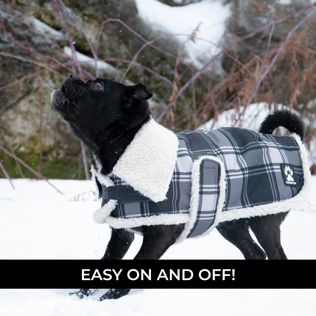 Shedrow K9 Aspen Dog Coat