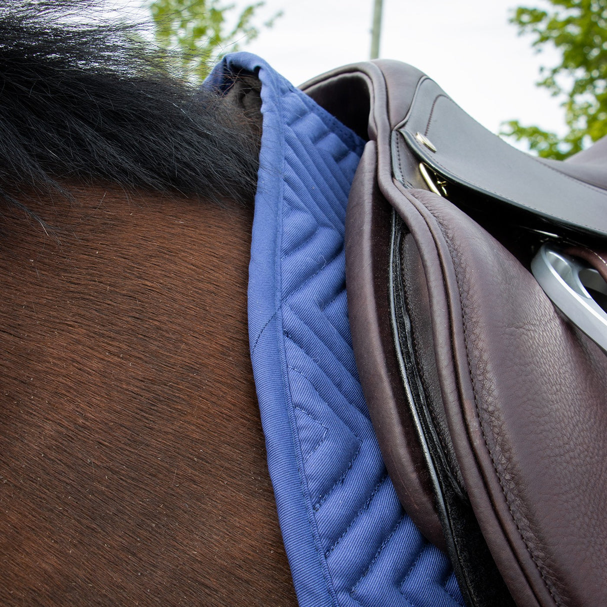 Tapis de selle Supra Every Day Essential
