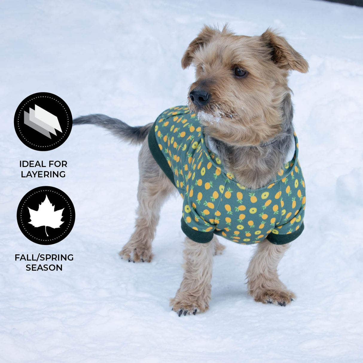 Sweat à capuche pour chien Shedrow K9 Canmore