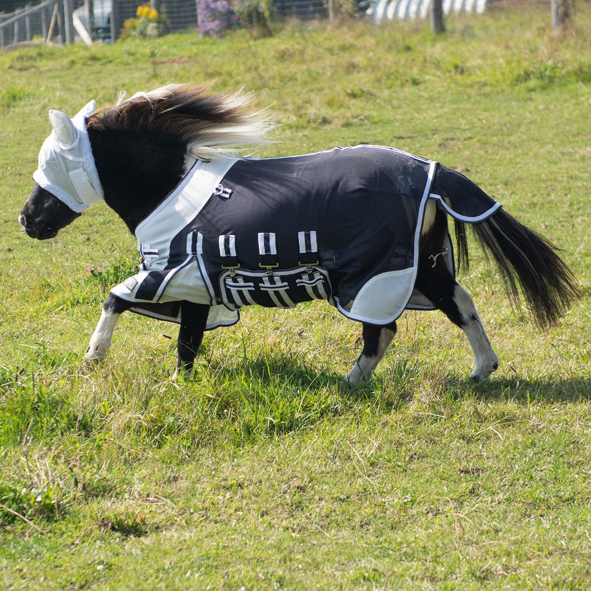 Supra Miniature Fly Sheet W- Belly Band & Fly Mask