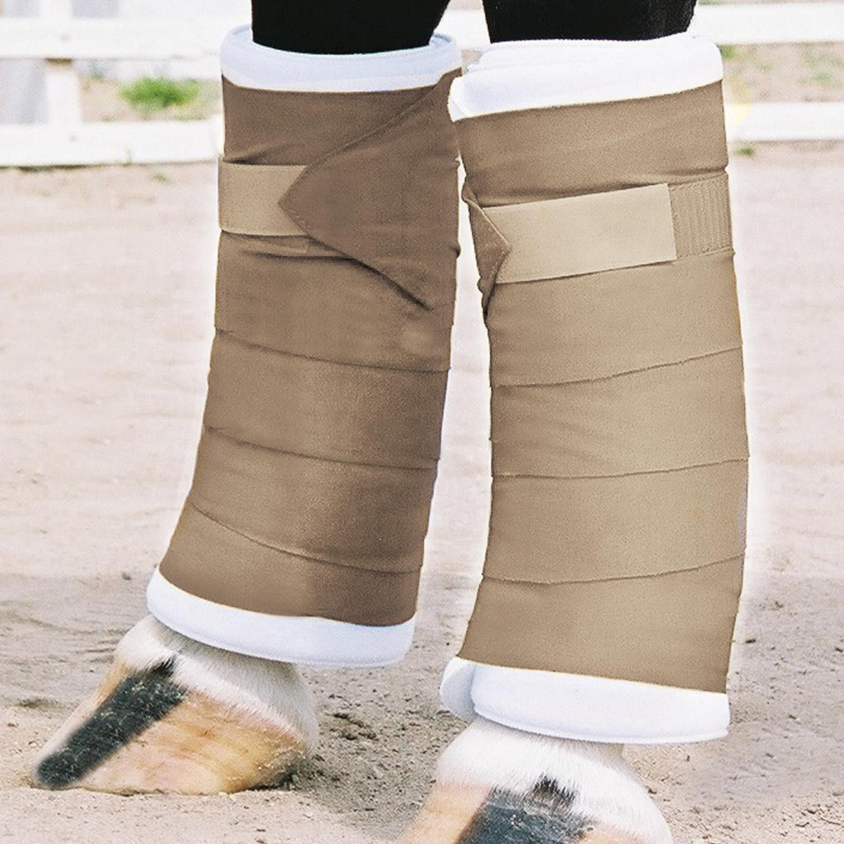 Shedrow Standing Bandages