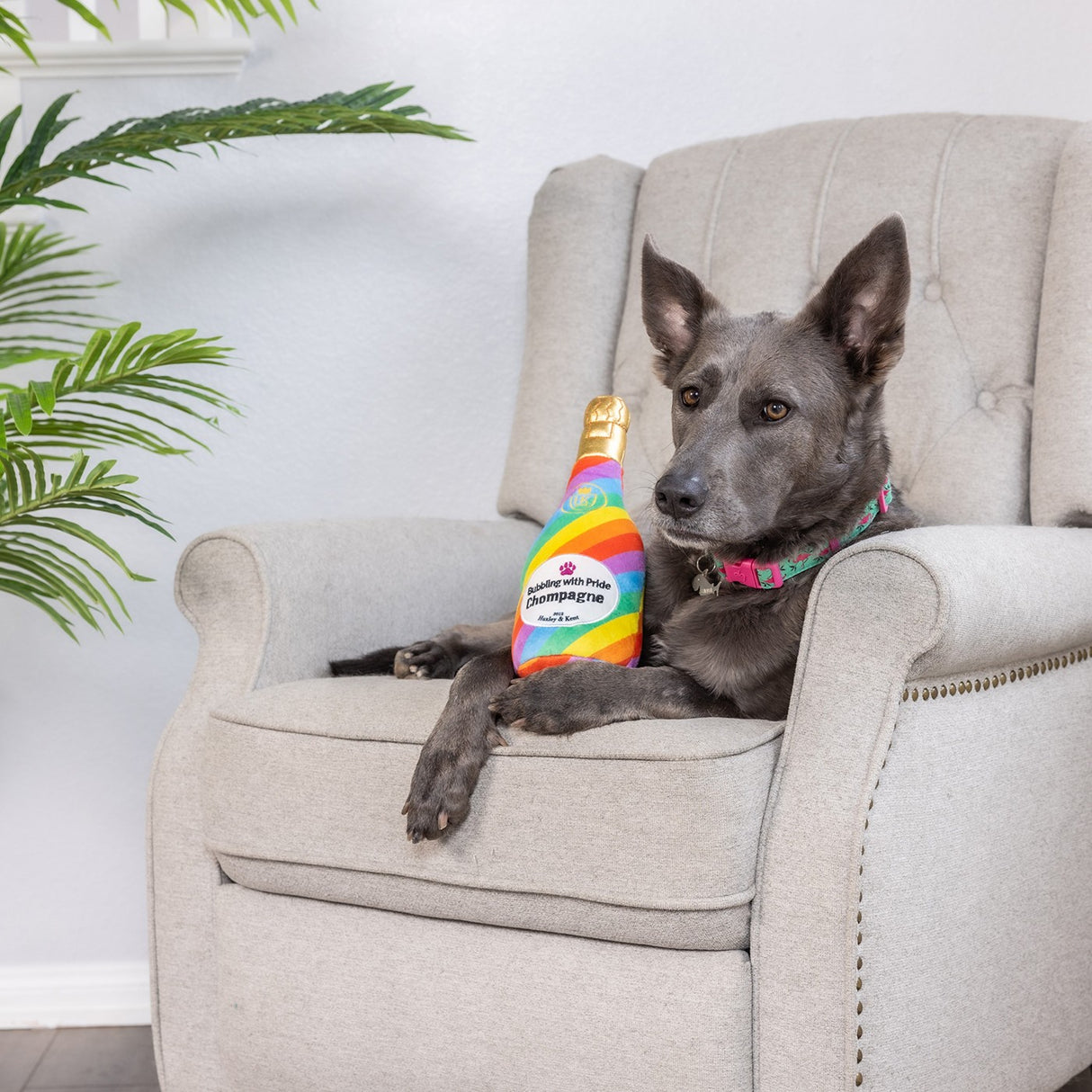 Jouet pour chien Lulubelles Power Plush Bubbling W- Pride