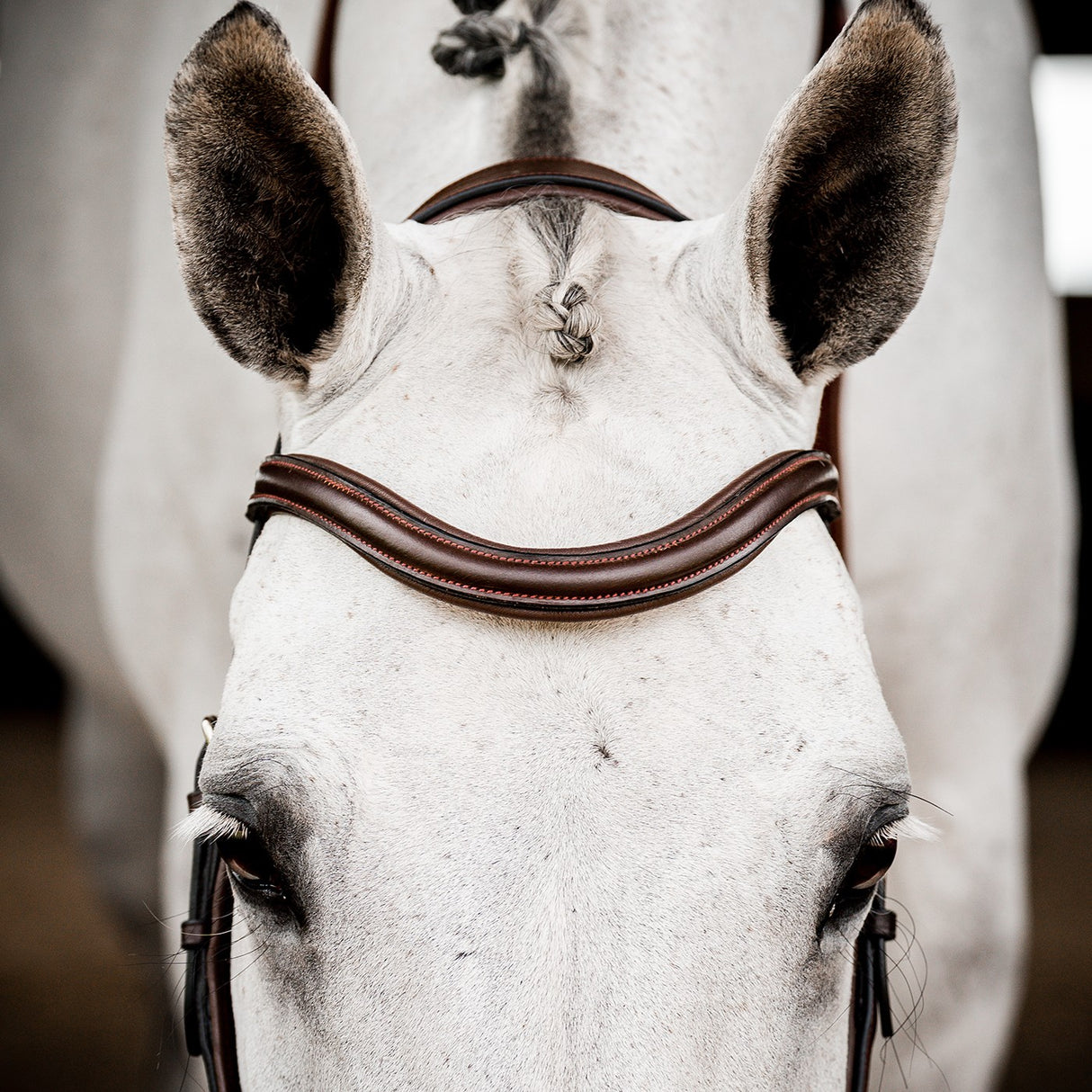 Rambo Micklem Deluxe Competition Bridle W- Reins