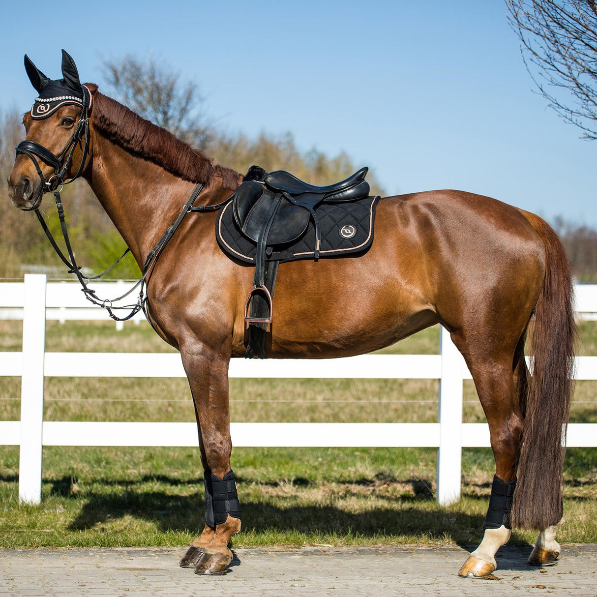 Back on Track Haze Collection Jumping Saddle Pad