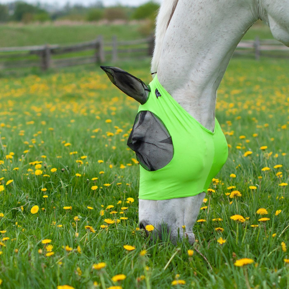 Masque anti-mouches Summit Lycra