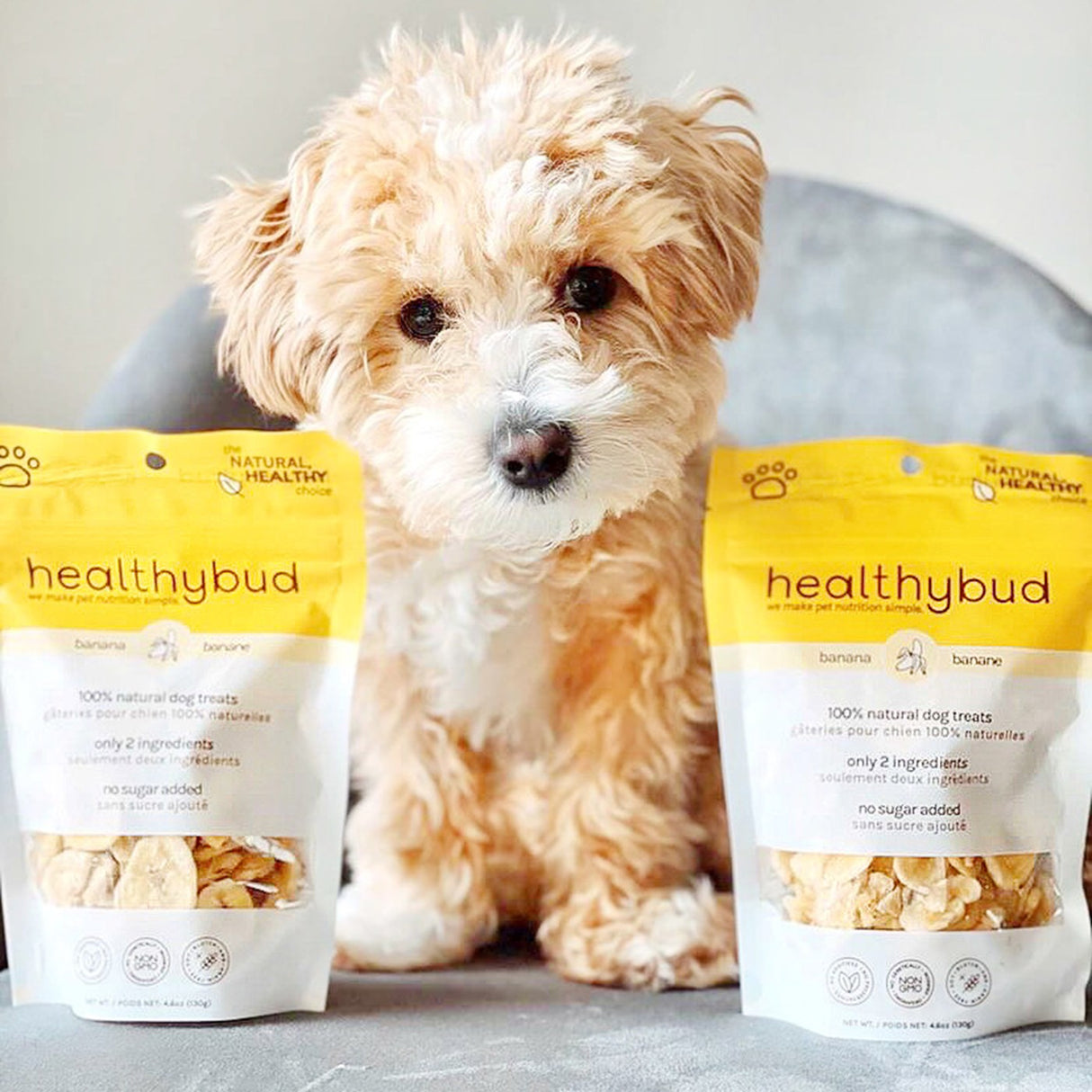 Healthybud Banana Chips Dog Treat 5.3 Oz