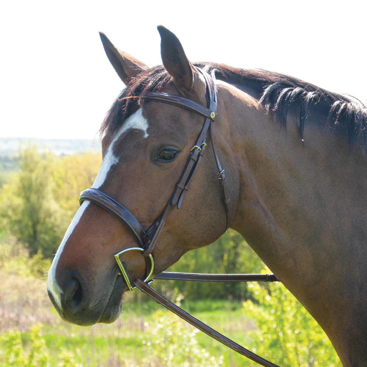 Mondega Coretto Wide Noseband Hunter Bridle