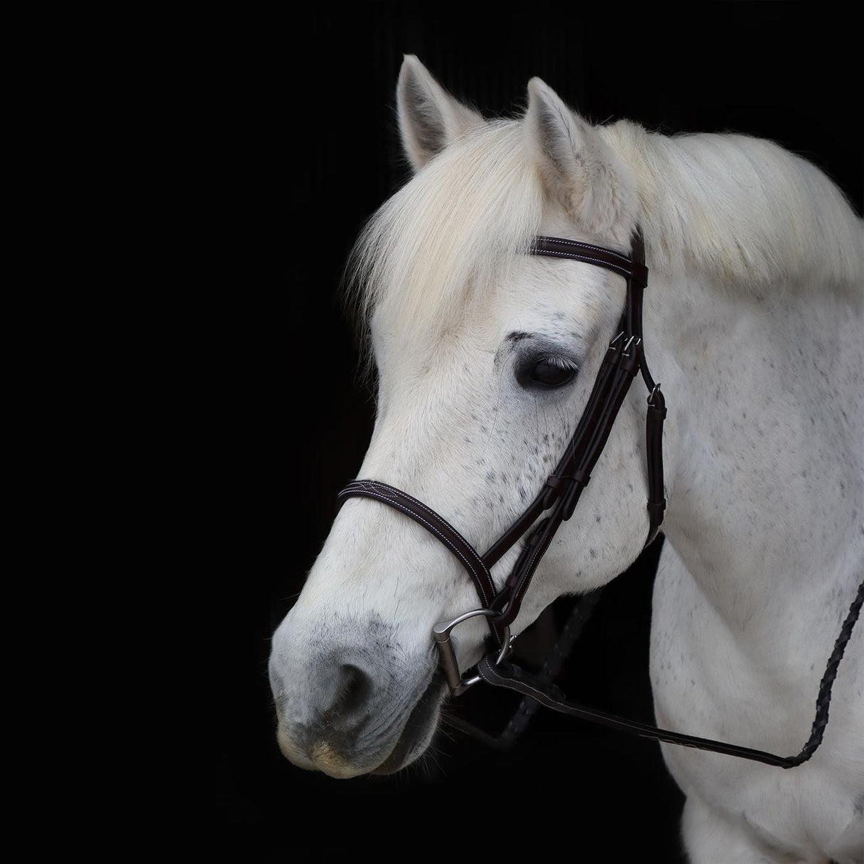 Val du Bois Raised Fancy Stitched Bridle