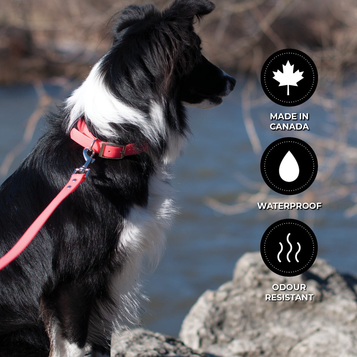 Shedrow K9 Tofino II Waterproof Leash 5 Ft.