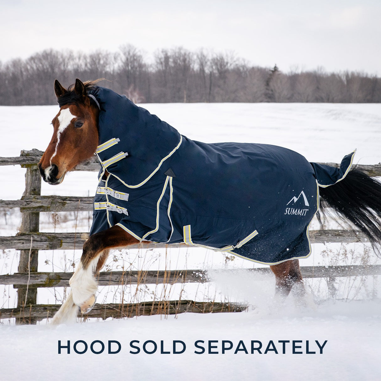 Summit Atlas Turnout 300 g