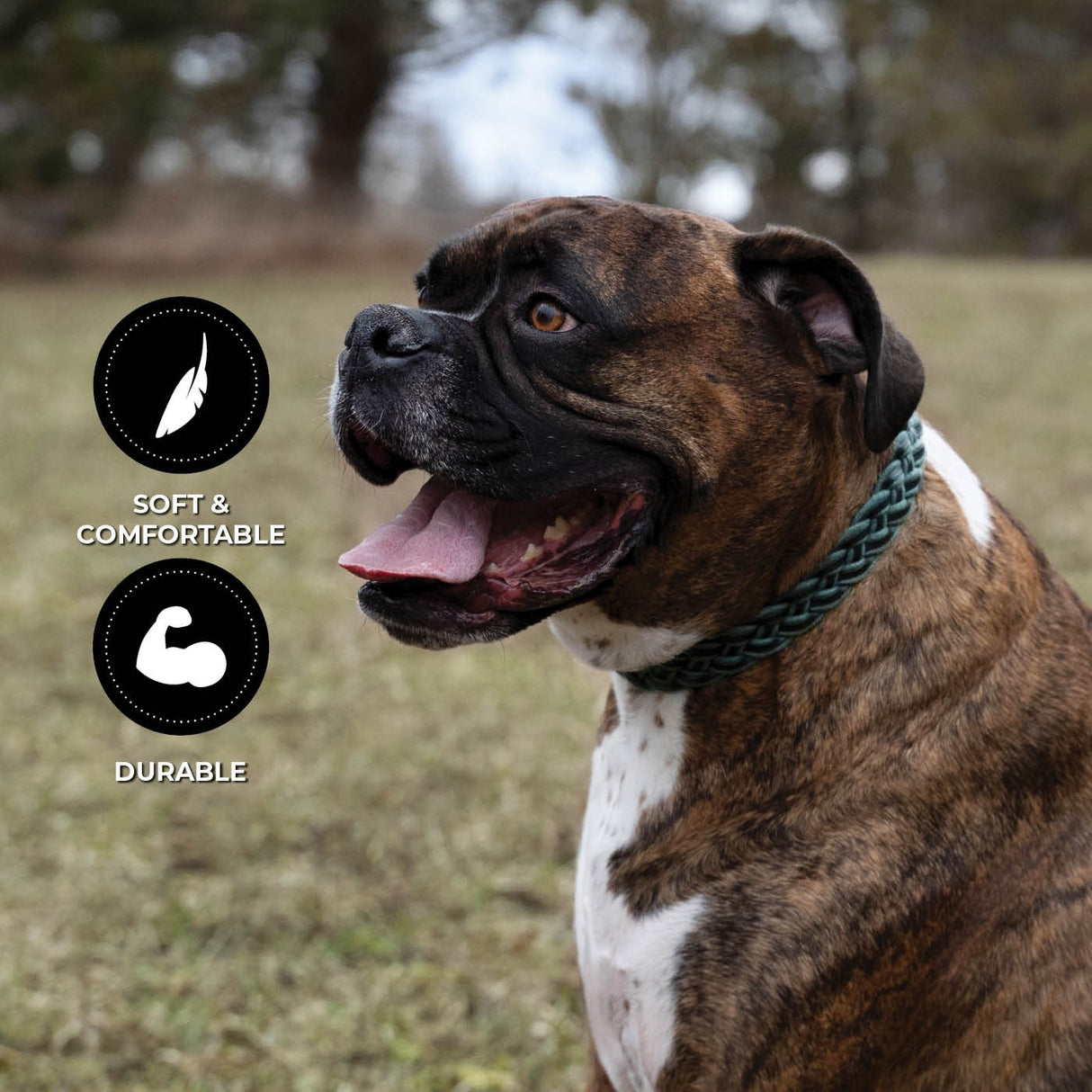 Shedrow K9 Rideau Corde tressée et collier en cuir