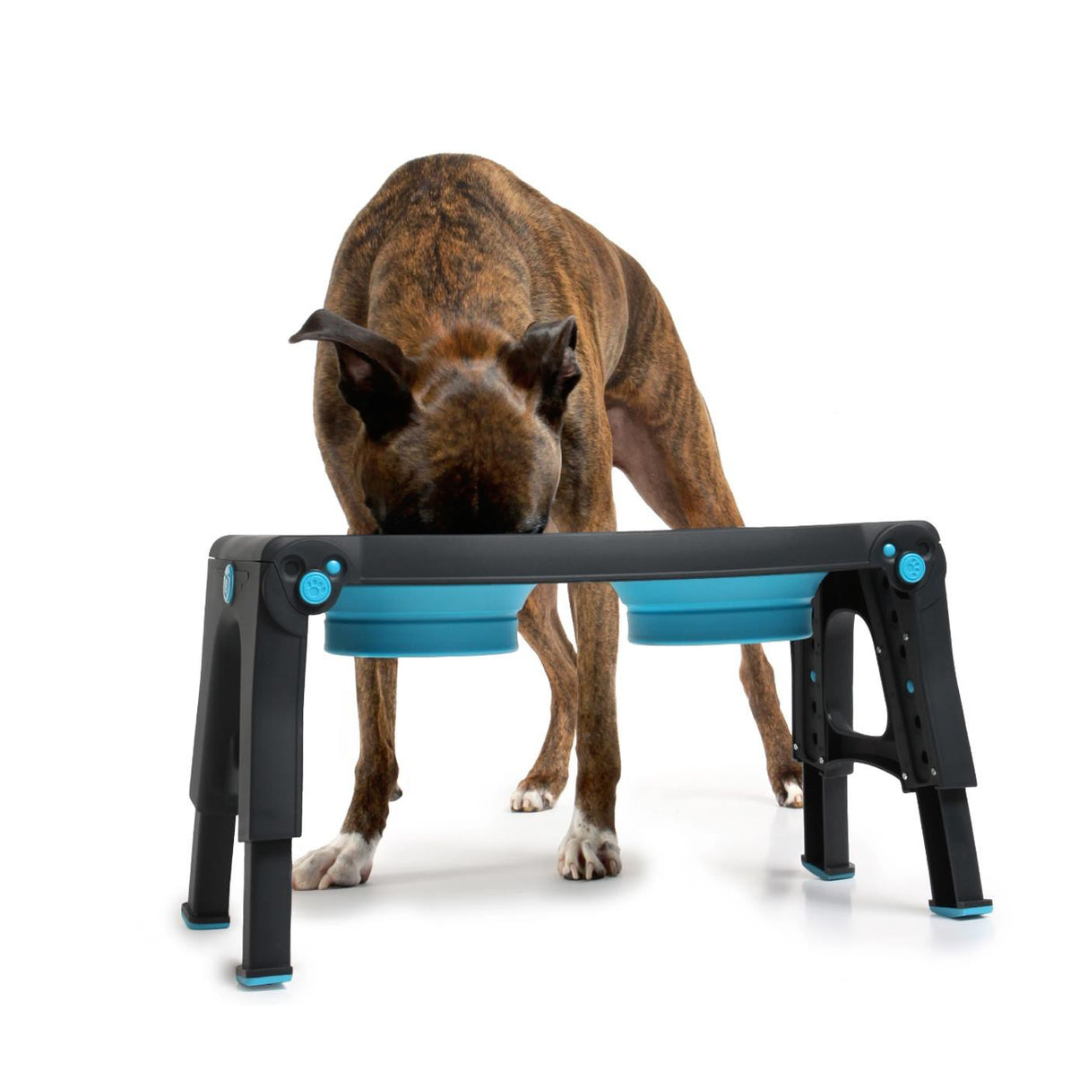 Mangeoire pour animaux à hauteur réglable Dexas