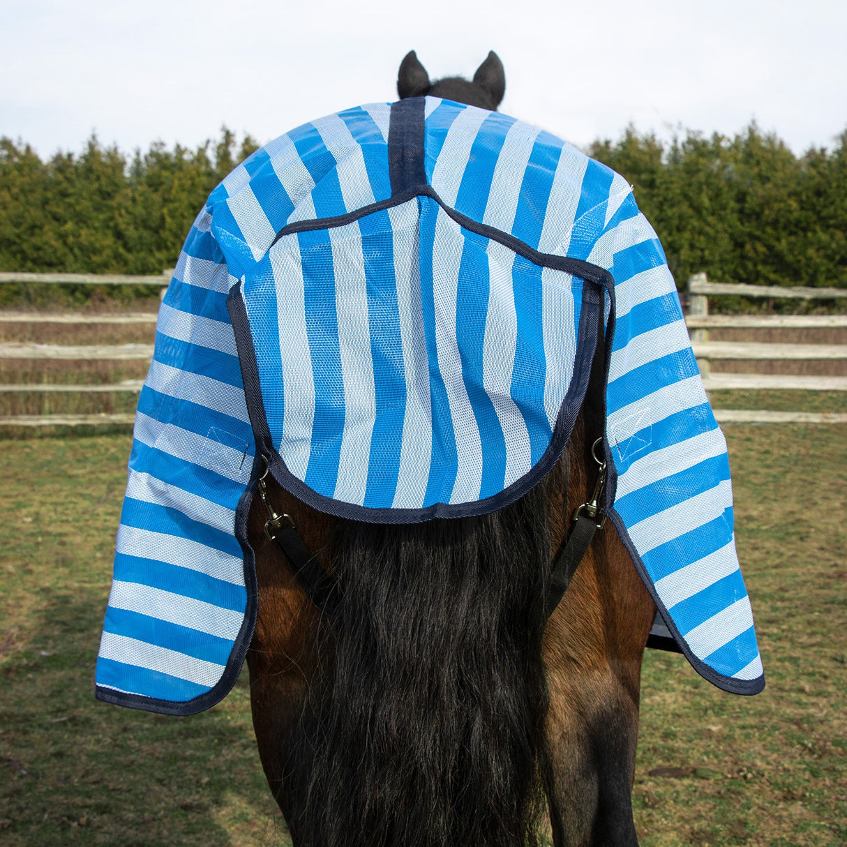 Shedrow Textilene Fly Sheet