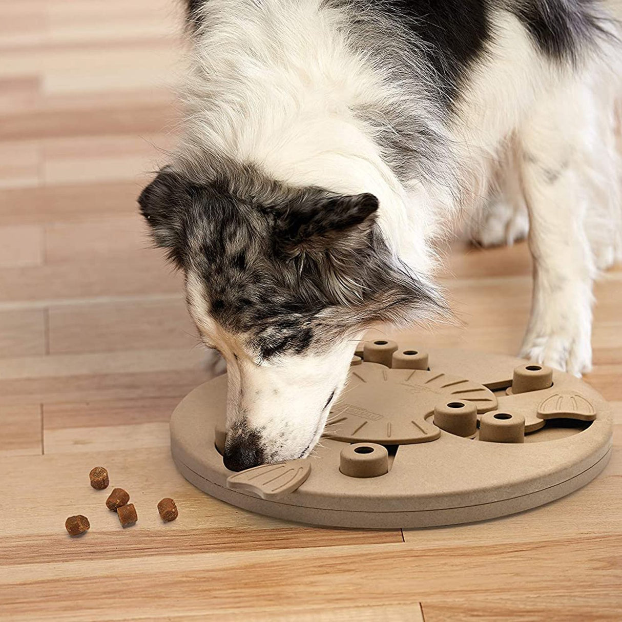 Nina Ottosson Dog Worker Dog Puzzle