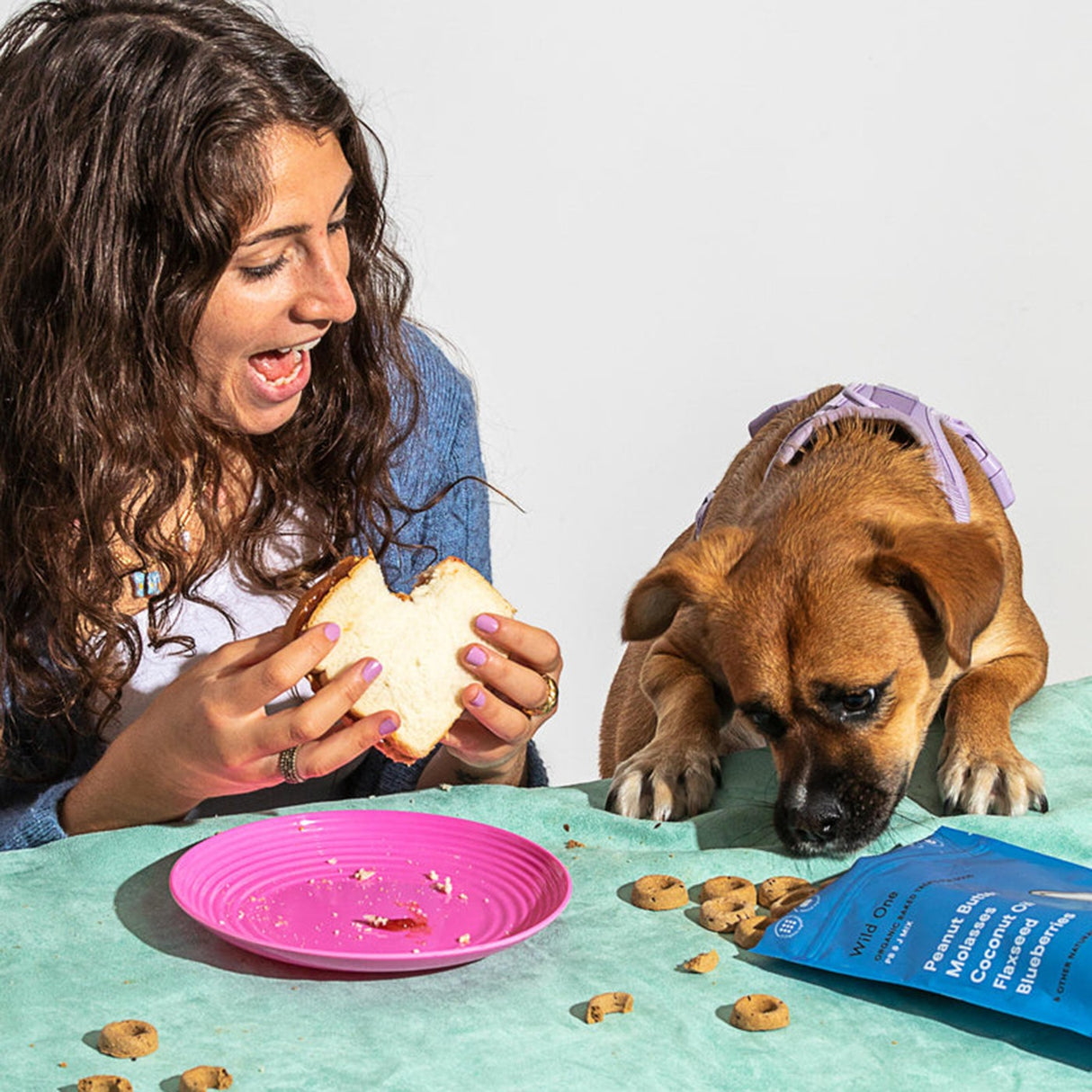 Wild One PB & J Baked Dog Treat 8 Oz
