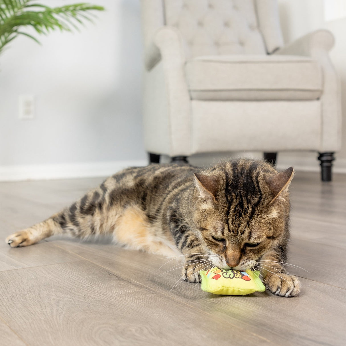 Jouet pour chat Kittybelles Sour Scratch